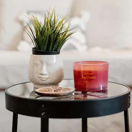 House Of Happy With Terrace