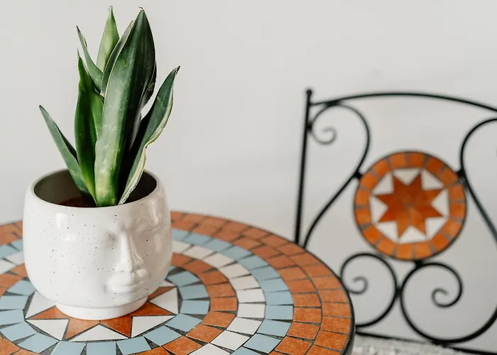 Appartamento House Of Happy With Terrace